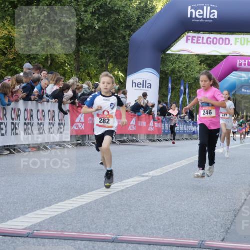 06.09.2026 - CURREX Alsterlauf Yannick Fuchs http://msf.ph/oto/10228430 06.09.2026 10:53:01 Ziel 151, 158, 222, 223, 246, 250, 251, 280, 282, 303, 374, 430 meine-sportfotos.de