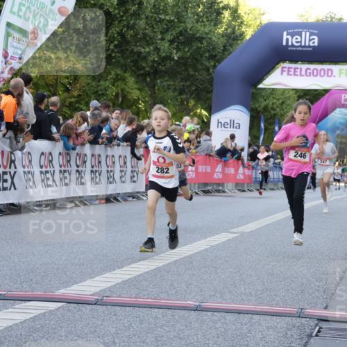 06.09.2026 - CURREX Alsterlauf Yannick Fuchs http://msf.ph/oto/10228432 06.09.2026 10:53:01 Ziel 151, 158, 222, 223, 246, 250, 251, 280, 282, 303, 374, 430 meine-sportfotos.de