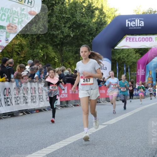 06.09.2026 - CURREX Alsterlauf Yannick Fuchs http://msf.ph/oto/10228442 06.09.2026 10:53:05 Ziel 158, 168, 246, 247, 251, 272, 282, 303, 430, 432 meine-sportfotos.de