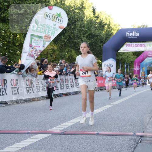 06.09.2026 - CURREX Alsterlauf Yannick Fuchs http://msf.ph/oto/10228443 06.09.2026 10:53:06 Ziel 158, 168, 246, 247, 251, 272, 282, 303, 430, 432 meine-sportfotos.de