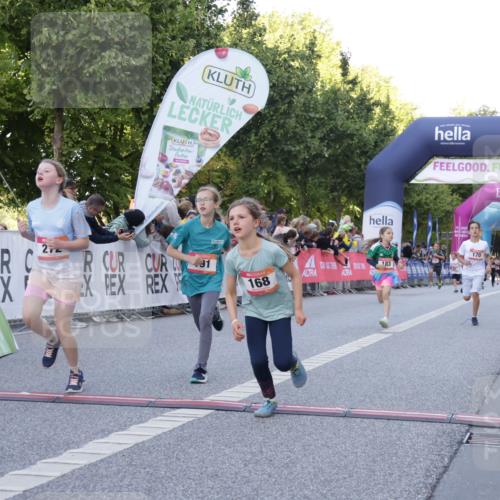 06.09.2026 - CURREX Alsterlauf Yannick Fuchs http://msf.ph/oto/10228451 06.09.2026 10:53:09 Ziel 168, 170, 183, 246, 247, 272, 282, 303, 432 meine-sportfotos.de