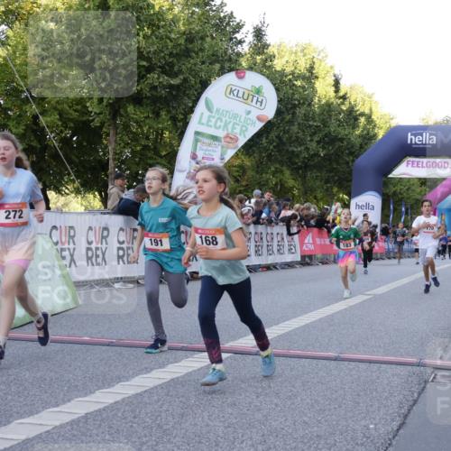 06.09.2026 - CURREX Alsterlauf Yannick Fuchs http://msf.ph/oto/10228454 06.09.2026 10:53:09 Ziel 168, 170, 183, 246, 247, 272, 282, 303, 432 meine-sportfotos.de