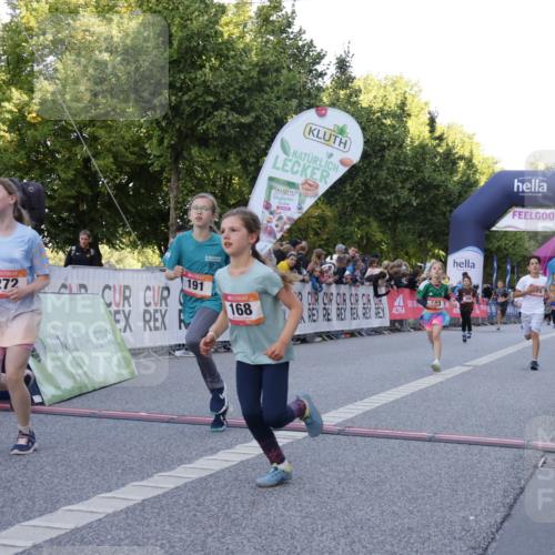 06.09.2026 - CURREX Alsterlauf Yannick Fuchs http://msf.ph/oto/10228455 06.09.2026 10:53:10 Ziel 168, 170, 183, 246, 247, 272, 282, 303, 309, 432 meine-sportfotos.de