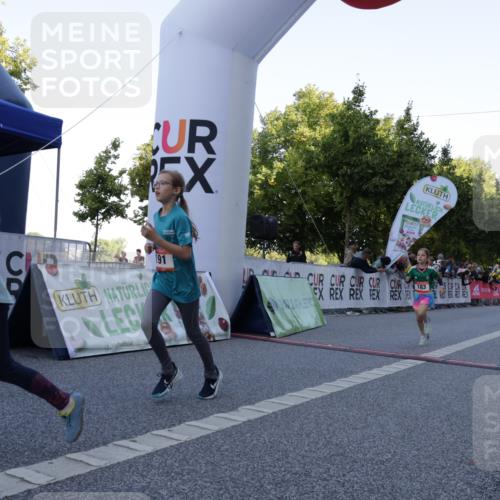 06.09.2026 - CURREX Alsterlauf Yannick Fuchs http://msf.ph/oto/10228457 06.09.2026 10:53:11 Ziel 168, 170, 183, 246, 247, 272, 303, 309, 432, 8182 meine-sportfotos.de