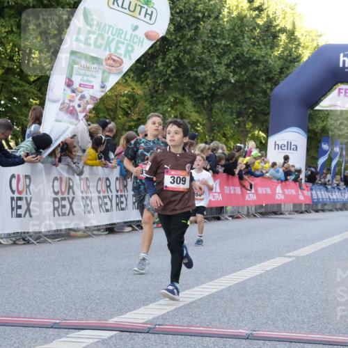 06.09.2026 - CURREX Alsterlauf Yannick Fuchs http://msf.ph/oto/10228464 06.09.2026 10:53:13 Ziel 168, 170, 183, 204, 247, 272, 309, 432, 8182 meine-sportfotos.de