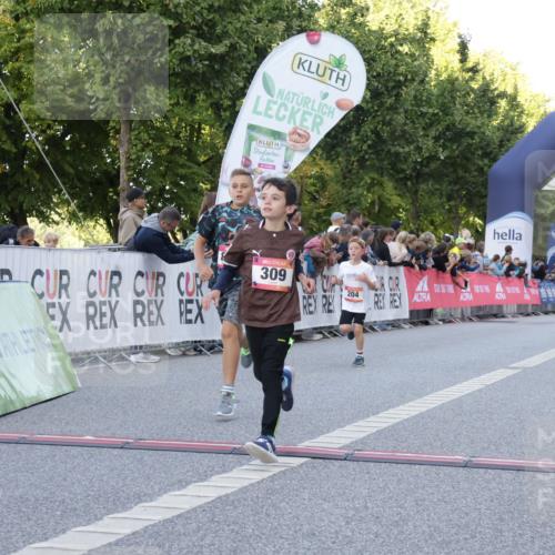 06.09.2026 - CURREX Alsterlauf Yannick Fuchs http://msf.ph/oto/10228468 06.09.2026 10:53:14 Ziel 168, 170, 183, 204, 247, 272, 309, 432, 8182 meine-sportfotos.de