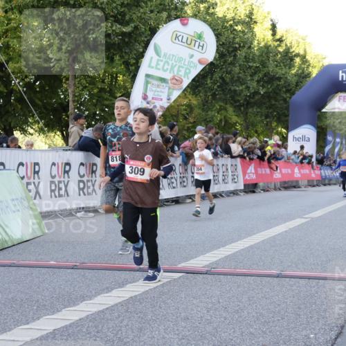 06.09.2026 - CURREX Alsterlauf Yannick Fuchs http://msf.ph/oto/10228469 06.09.2026 10:53:14 Ziel 168, 170, 183, 204, 247, 272, 309, 432, 8182 meine-sportfotos.de