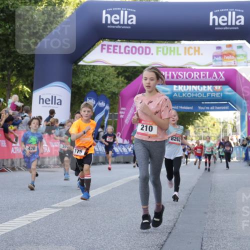 06.09.2026 - CURREX Alsterlauf Yannick Fuchs http://msf.ph/oto/10228478 06.09.2026 10:53:19 Ziel 170, 175, 183, 186, 204, 210, 309, 397, 420, 8182, 8220, 8262 meine-sportfotos.de