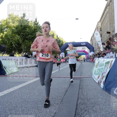 06.09.2026 - CURREX Alsterlauf Yannick Fuchs http://msf.ph/oto/10228481 06.09.2026 10:53:21 Ziel 175, 186, 204, 210, 227, 309, 317, 397, 420, 8182, 8220, 8262 meine-sportfotos.de