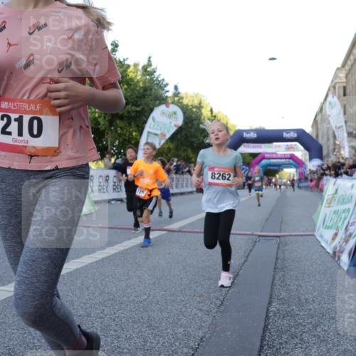 06.09.2026 - CURREX Alsterlauf Yannick Fuchs http://msf.ph/oto/10228484 06.09.2026 10:53:22 Ziel 175, 186, 204, 210, 227, 233, 309, 317, 397, 420, 8182, 8220, 8262 meine-sportfotos.de