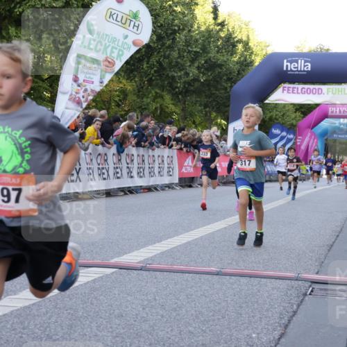 06.09.2026 - CURREX Alsterlauf Yannick Fuchs http://msf.ph/oto/10228489 06.09.2026 10:53:23 Ziel 175, 186, 204, 210, 227, 233, 317, 397, 420, 8182, 8220, 8262 meine-sportfotos.de
