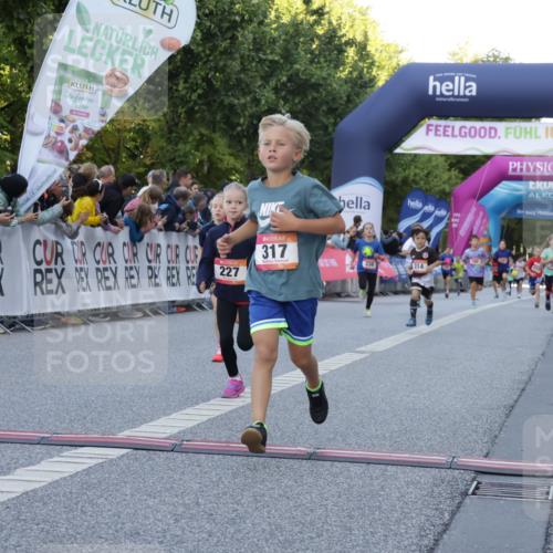 06.09.2026 - CURREX Alsterlauf Yannick Fuchs http://msf.ph/oto/10228490 06.09.2026 10:53:24 Ziel 175, 186, 204, 210, 227, 233, 314, 317, 336, 397, 420, 8124, 8220, 8262 meine-sportfotos.de