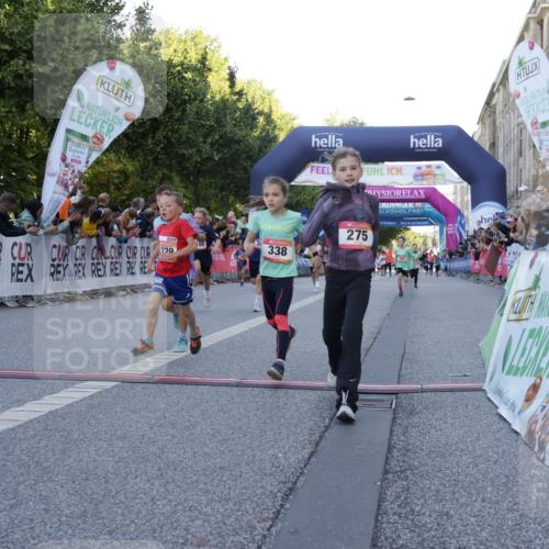 06.09.2026 - CURREX Alsterlauf Yannick Fuchs http://msf.ph/oto/10228503 06.09.2026 10:53:30 Ziel 186, 190, 227, 233, 263, 274, 275, 314, 317, 336, 338, 397, 402, 420, 8124, 8180, 8181, 8329 meine-sportfotos.de