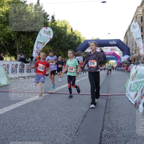 06.09.2026 - CURREX Alsterlauf Yannick Fuchs http://msf.ph/oto/10228506 06.09.2026 10:53:31 Ziel 190, 227, 233, 263, 266, 274, 275, 306, 314, 317, 336, 338, 402, 8124, 8180, 8181, 8329 meine-sportfotos.de