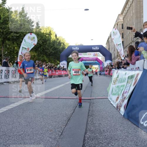 06.09.2026 - CURREX Alsterlauf Yannick Fuchs http://msf.ph/oto/10228513 06.09.2026 10:53:34 Ziel 190, 233, 263, 265, 266, 274, 275, 306, 314, 330, 336, 338, 402, 415, 445, 8124, 8180, 8181, 8329 meine-sportfotos.de