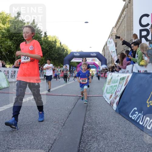 06.09.2026 - CURREX Alsterlauf Yannick Fuchs http://msf.ph/oto/10228551 06.09.2026 10:53:47 Ziel 154, 159, 164, 169, 177, 214, 219, 257, 259, 286, 354, 362, 389, 401, 404, 422, 442, 8094, 8112, 8123, 8196, 8221, 8252 meine-sportfotos.de