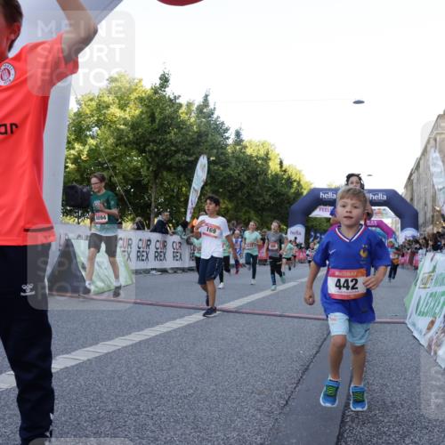 06.09.2026 - CURREX Alsterlauf Yannick Fuchs http://msf.ph/oto/10228555 06.09.2026 10:53:48 Ziel 154, 164, 169, 177, 214, 219, 257, 259, 286, 320, 354, 362, 389, 401, 404, 422, 442, 8094, 8101, 8112, 8123, 8196, 8221, 8252 meine-sportfotos.de