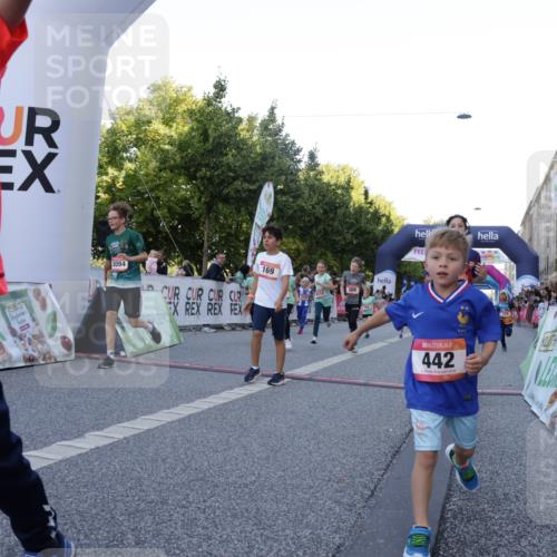 06.09.2026 - CURREX Alsterlauf Yannick Fuchs http://msf.ph/oto/10228556 06.09.2026 10:53:48 Ziel 154, 164, 169, 177, 214, 219, 257, 259, 286, 320, 354, 362, 389, 401, 404, 422, 442, 8094, 8101, 8112, 8123, 8196, 8221, 8252 meine-sportfotos.de