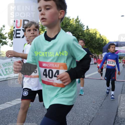 06.09.2026 - CURREX Alsterlauf Yannick Fuchs http://msf.ph/oto/10228567 06.09.2026 10:53:53 Ziel 164, 169, 172, 177, 185, 208, 243, 302, 320, 334, 354, 362, 389, 404, 418, 422, 442, 8094, 8101, 8112, 8123, 8196, 8221, 8252 meine-sportfotos.de