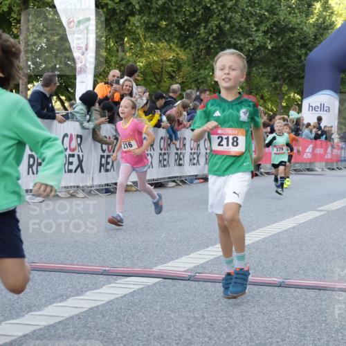 06.09.2026 - CURREX Alsterlauf Yannick Fuchs http://msf.ph/oto/10228579 06.09.2026 10:53:59 Ziel 157, 172, 185, 195, 203, 208, 216, 218, 221, 243, 292, 302, 320, 334, 362, 379, 404, 414, 418, 443, 8101, 8196, 8221 meine-sportfotos.de