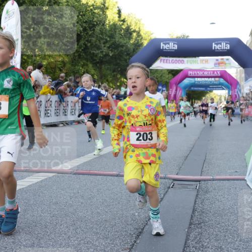 06.09.2026 - CURREX Alsterlauf Yannick Fuchs http://msf.ph/oto/10228582 06.09.2026 10:54:01 Ziel 157, 172, 185, 195, 202, 203, 208, 216, 218, 221, 243, 256, 292, 296, 302, 321, 334, 364, 379, 414, 418, 443 meine-sportfotos.de