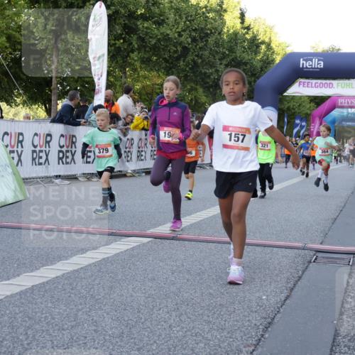 06.09.2026 - CURREX Alsterlauf Yannick Fuchs http://msf.ph/oto/10228587 06.09.2026 10:54:02 Ziel 157, 172, 195, 202, 203, 216, 218, 221, 243, 256, 260, 292, 296, 302, 321, 334, 364, 379, 414, 418, 443 meine-sportfotos.de