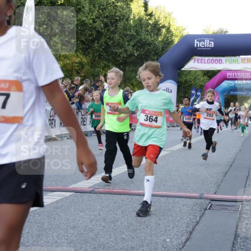 06.09.2026 - CURREX Alsterlauf Yannick Fuchs http://msf.ph/oto/10228590 06.09.2026 10:54:04 Ziel 157, 195, 201, 202, 203, 216, 218, 221, 243, 256, 260, 292, 296, 302, 312, 321, 364, 379, 414, 443, 455, 8253 meine-sportfotos.de