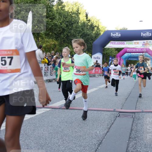 06.09.2026 - CURREX Alsterlauf Yannick Fuchs http://msf.ph/oto/10228591 06.09.2026 10:54:04 Ziel 157, 195, 201, 202, 203, 216, 218, 221, 243, 256, 260, 292, 296, 302, 312, 321, 364, 379, 414, 443, 455, 8253 meine-sportfotos.de