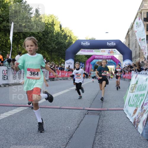 06.09.2026 - CURREX Alsterlauf Yannick Fuchs http://msf.ph/oto/10228593 06.09.2026 10:54:05 Ziel 157, 195, 201, 202, 203, 216, 218, 221, 256, 260, 292, 296, 302, 312, 321, 364, 379, 414, 416, 443, 446, 455, 8253 meine-sportfotos.de