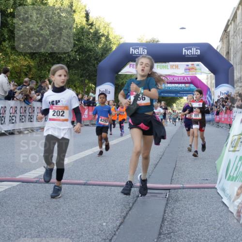06.09.2026 - CURREX Alsterlauf Yannick Fuchs http://msf.ph/oto/10228597 06.09.2026 10:54:06 Ziel 157, 195, 201, 202, 203, 216, 218, 221, 256, 260, 292, 296, 312, 321, 347, 364, 379, 414, 416, 443, 446, 455, 8253 meine-sportfotos.de