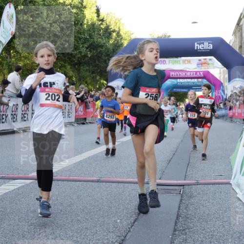 06.09.2026 - CURREX Alsterlauf Yannick Fuchs http://msf.ph/oto/10228598 06.09.2026 10:54:06 Ziel 157, 195, 201, 202, 203, 216, 218, 221, 256, 260, 292, 296, 312, 321, 347, 364, 379, 414, 416, 443, 446, 455, 8253 meine-sportfotos.de