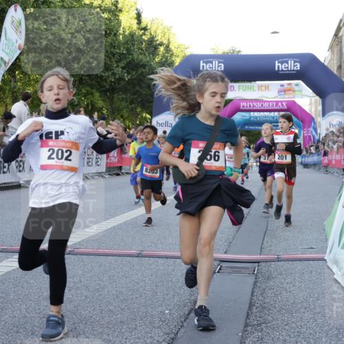 06.09.2026 - CURREX Alsterlauf Yannick Fuchs http://msf.ph/oto/10228599 06.09.2026 10:54:06 Ziel 157, 195, 201, 202, 203, 216, 218, 221, 256, 260, 292, 296, 312, 321, 347, 364, 379, 414, 416, 443, 446, 455, 8253 meine-sportfotos.de
