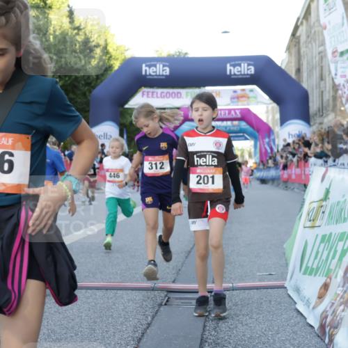 06.09.2026 - CURREX Alsterlauf Yannick Fuchs http://msf.ph/oto/10228602 06.09.2026 10:54:08 Ziel 157, 195, 201, 202, 203, 216, 256, 258, 260, 276, 296, 312, 321, 347, 364, 379, 414, 416, 446, 455, 8253 meine-sportfotos.de