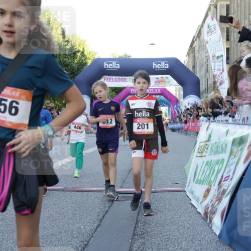 06.09.2026 - CURREX Alsterlauf Yannick Fuchs http://msf.ph/oto/10228604 06.09.2026 10:54:08 Ziel 157, 195, 201, 202, 203, 216, 256, 258, 260, 276, 296, 312, 321, 347, 364, 379, 414, 416, 446, 455, 8253 meine-sportfotos.de