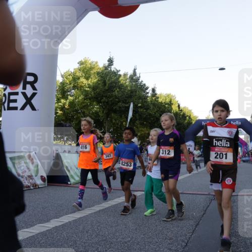 06.09.2026 - CURREX Alsterlauf Yannick Fuchs http://msf.ph/oto/10228605 06.09.2026 10:54:10 Ziel 157, 195, 201, 202, 206, 256, 258, 260, 276, 283, 296, 300, 312, 321, 347, 364, 379, 414, 416, 446, 455, 8113, 8253 meine-sportfotos.de