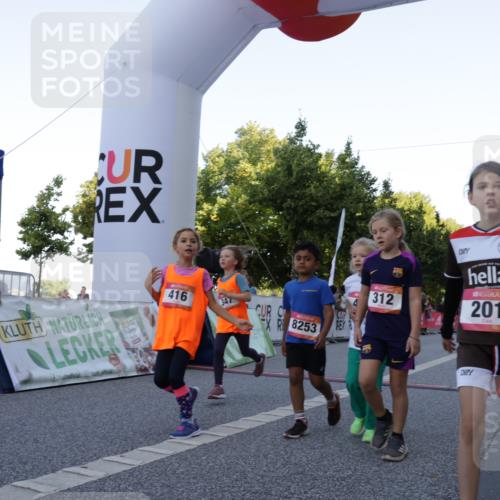 06.09.2026 - CURREX Alsterlauf Yannick Fuchs http://msf.ph/oto/10228608 06.09.2026 10:54:10 Ziel 157, 195, 201, 202, 206, 256, 258, 260, 276, 283, 296, 300, 312, 321, 347, 364, 379, 414, 416, 446, 455, 8113, 8253 meine-sportfotos.de