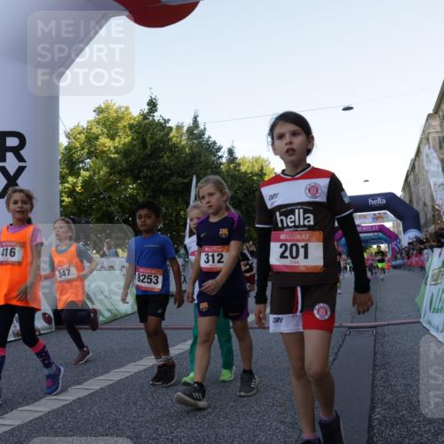 06.09.2026 - CURREX Alsterlauf Yannick Fuchs http://msf.ph/oto/10228609 06.09.2026 10:54:10 Ziel 157, 195, 201, 202, 206, 256, 258, 260, 276, 283, 296, 300, 312, 321, 347, 364, 379, 414, 416, 446, 455, 8113, 8253 meine-sportfotos.de