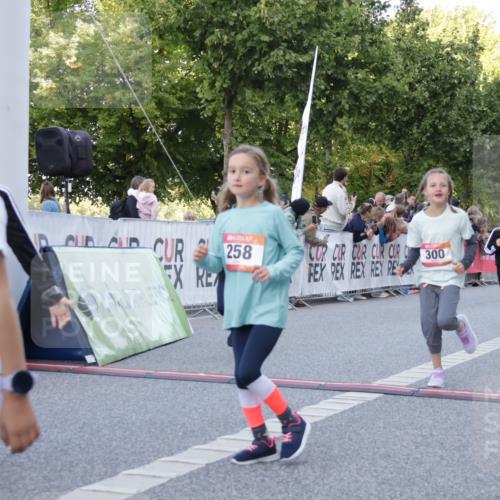 06.09.2026 - CURREX Alsterlauf Yannick Fuchs http://msf.ph/oto/10228613 06.09.2026 10:54:12 Ziel 201, 202, 206, 256, 258, 260, 270, 276, 283, 296, 300, 312, 321, 347, 364, 416, 417, 436, 440, 446, 449, 455, 8113, 8174, 8253 meine-sportfotos.de