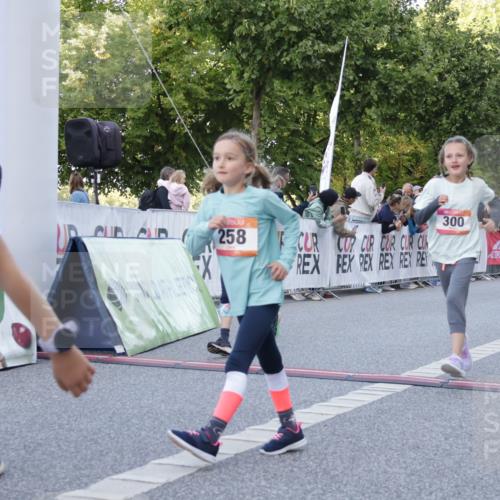 06.09.2026 - CURREX Alsterlauf Yannick Fuchs http://msf.ph/oto/10228614 06.09.2026 10:54:13 Ziel 201, 202, 206, 256, 258, 260, 270, 276, 283, 300, 312, 321, 347, 416, 417, 436, 440, 446, 449, 455, 8113, 8174, 8253 meine-sportfotos.de
