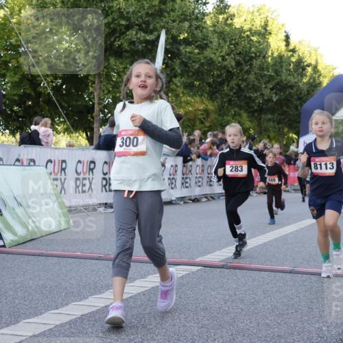 06.09.2026 - CURREX Alsterlauf Yannick Fuchs http://msf.ph/oto/10228617 06.09.2026 10:54:14 Ziel 201, 206, 238, 258, 260, 264, 270, 276, 283, 300, 312, 347, 399, 416, 417, 436, 440, 446, 449, 455, 8113, 8174, 8253 meine-sportfotos.de