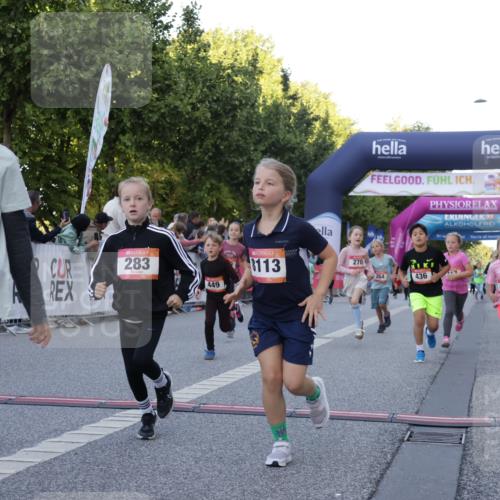06.09.2026 - CURREX Alsterlauf Yannick Fuchs http://msf.ph/oto/10228619 06.09.2026 10:54:14 Ziel 201, 206, 238, 258, 260, 264, 270, 276, 283, 300, 312, 347, 399, 416, 417, 436, 440, 446, 449, 455, 8113, 8174, 8253 meine-sportfotos.de