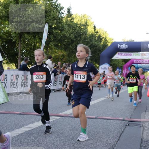 06.09.2026 - CURREX Alsterlauf Yannick Fuchs http://msf.ph/oto/10228621 06.09.2026 10:54:15 Ziel 201, 206, 238, 258, 264, 270, 276, 283, 300, 312, 347, 399, 416, 417, 436, 440, 446, 449, 455, 8113, 8174, 8253 meine-sportfotos.de