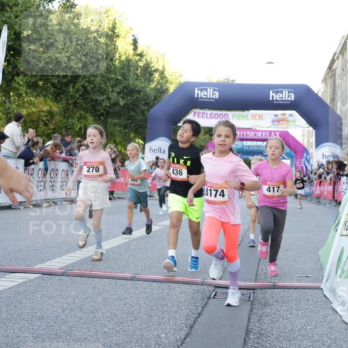 06.09.2026 - CURREX Alsterlauf Yannick Fuchs http://msf.ph/oto/10228624 06.09.2026 10:54:16 Ziel 206, 238, 258, 264, 270, 276, 283, 300, 312, 347, 365, 399, 416, 417, 431, 436, 440, 444, 446, 449, 455, 8087, 8113, 8174, 8253 meine-sportfotos.de