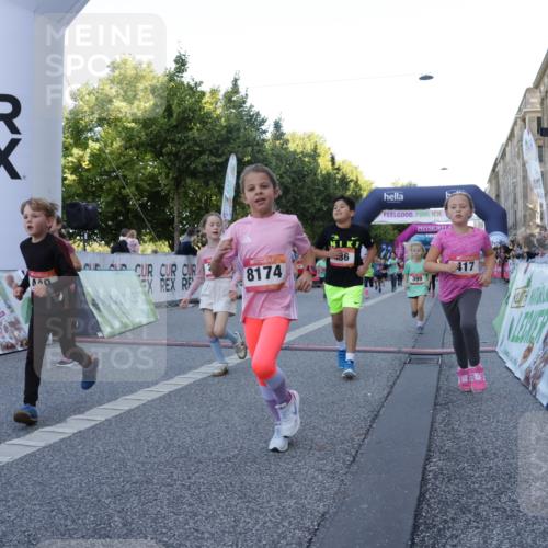 06.09.2026 - CURREX Alsterlauf Yannick Fuchs http://msf.ph/oto/10228628 06.09.2026 10:54:17 Ziel 206, 238, 258, 264, 270, 276, 283, 285, 300, 347, 365, 372, 399, 416, 417, 431, 436, 440, 444, 446, 449, 8087, 8113, 8174 meine-sportfotos.de