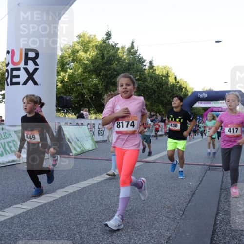 06.09.2026 - CURREX Alsterlauf Yannick Fuchs http://msf.ph/oto/10228629 06.09.2026 10:54:17 Ziel 206, 238, 258, 264, 270, 276, 283, 285, 300, 347, 365, 372, 399, 416, 417, 431, 436, 440, 444, 446, 449, 8087, 8113, 8174 meine-sportfotos.de