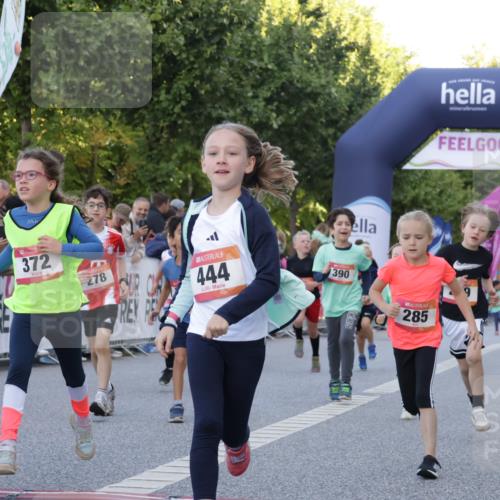 06.09.2026 - CURREX Alsterlauf Yannick Fuchs http://msf.ph/oto/10228637 06.09.2026 10:54:21 Ziel 179, 206, 207, 238, 239, 240, 264, 270, 278, 283, 284, 285, 300, 329, 357, 365, 372, 390, 399, 417, 431, 436, 440, 444, 449, 8087, 8113, 8174 meine-sportfotos.de