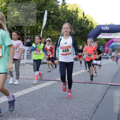 06.09.2026 - CURREX Alsterlauf Yannick Fuchs http://msf.ph/oto/10228640 06.09.2026 10:54:21 Ziel 179, 206, 207, 238, 239, 240, 264, 270, 278, 283, 284, 285, 300, 329, 357, 365, 372, 390, 399, 417, 431, 436, 440, 444, 449, 8087, 8113, 8174 meine-sportfotos.de