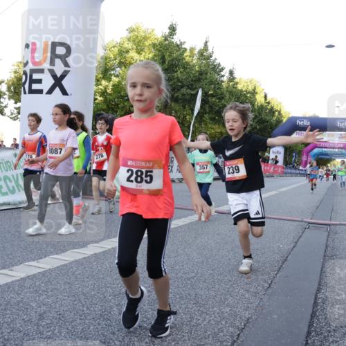 06.09.2026 - CURREX Alsterlauf Yannick Fuchs http://msf.ph/oto/10228644 06.09.2026 10:54:23 Ziel 179, 207, 238, 239, 240, 264, 270, 278, 284, 285, 304, 318, 329, 357, 365, 372, 387, 390, 399, 417, 431, 436, 440, 444, 449, 8087, 8174 meine-sportfotos.de