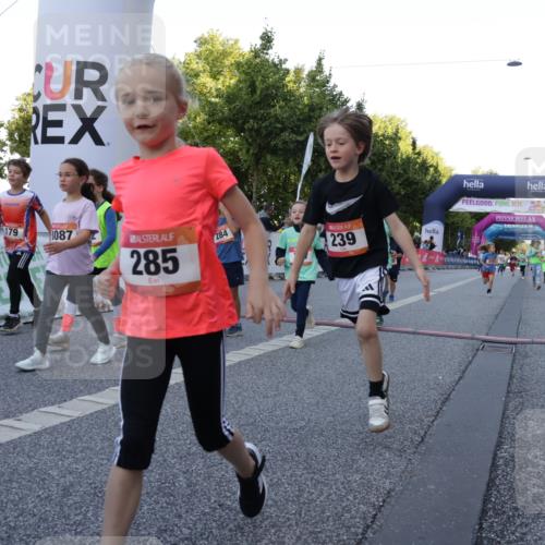 06.09.2026 - CURREX Alsterlauf Yannick Fuchs http://msf.ph/oto/10228645 06.09.2026 10:54:24 Ziel 179, 207, 238, 239, 240, 264, 270, 278, 284, 285, 304, 318, 329, 357, 361, 365, 372, 387, 390, 399, 417, 431, 436, 440, 444, 449, 8087, 8174 meine-sportfotos.de