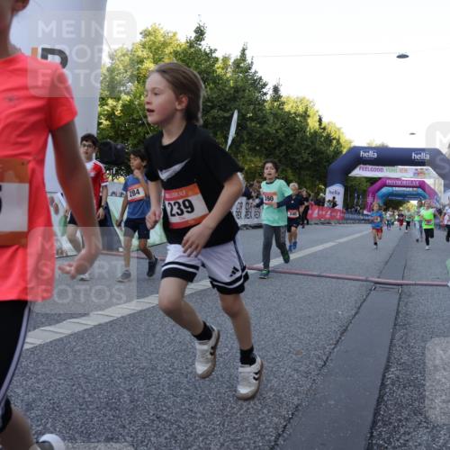 06.09.2026 - CURREX Alsterlauf Yannick Fuchs http://msf.ph/oto/10228647 06.09.2026 10:54:24 Ziel 179, 207, 238, 239, 240, 264, 270, 278, 284, 285, 304, 318, 329, 357, 361, 365, 372, 387, 390, 399, 417, 431, 436, 440, 444, 449, 8087, 8174 meine-sportfotos.de